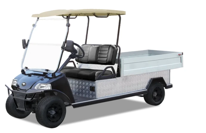 Golfette HDK 2 places Turfman - Lithium 48V 100Ah - occasion 2025- kilométrage < 50km  (Blanc)