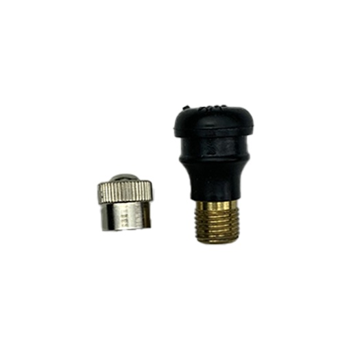 [00-016] Valve Tubeless Trottinette Electrique